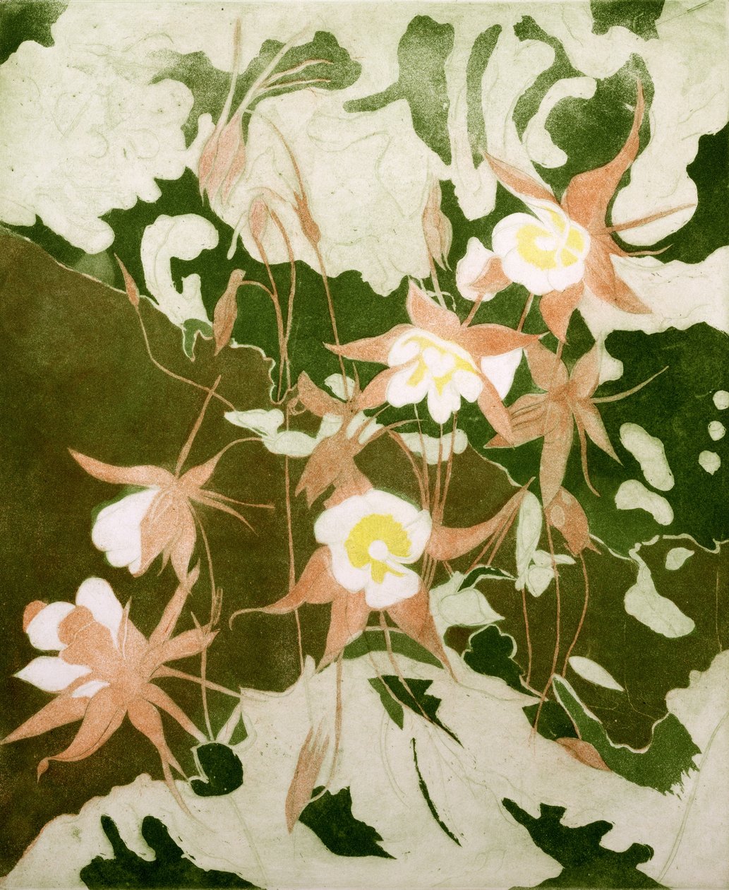 Columbines (tryck) av Valerie Daniel
