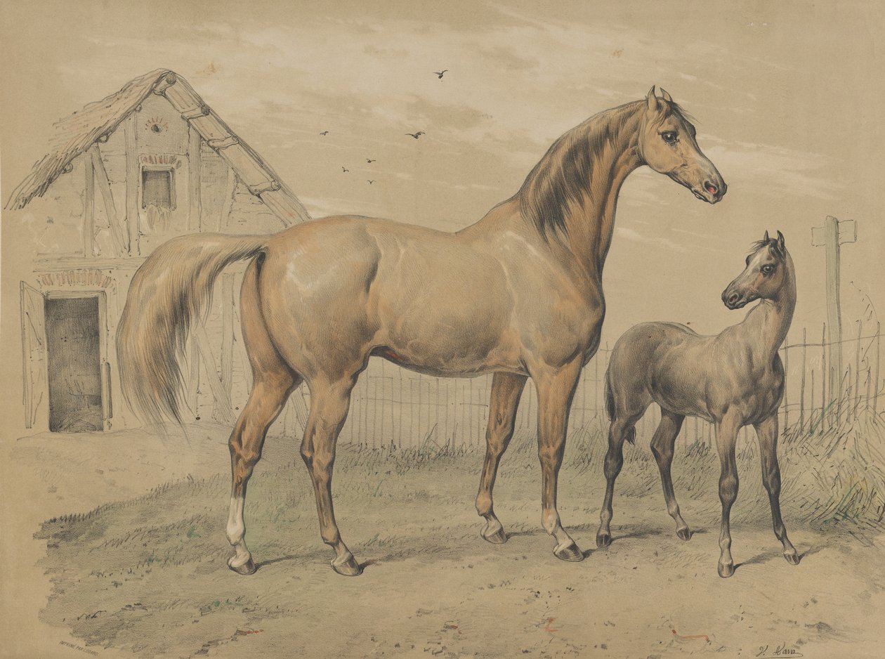 Sto och föl, 1800-talet. av Victor Adam