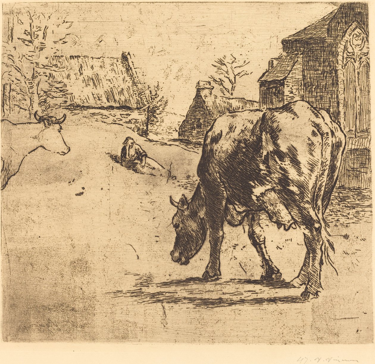 Kon (La Vache) av Victor Alfred Paul Vignon