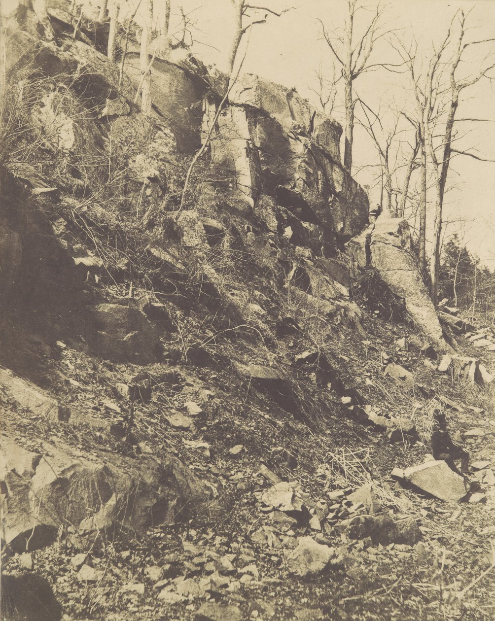 [Rocky Hillside], 1850-talet. av Victor Prevost