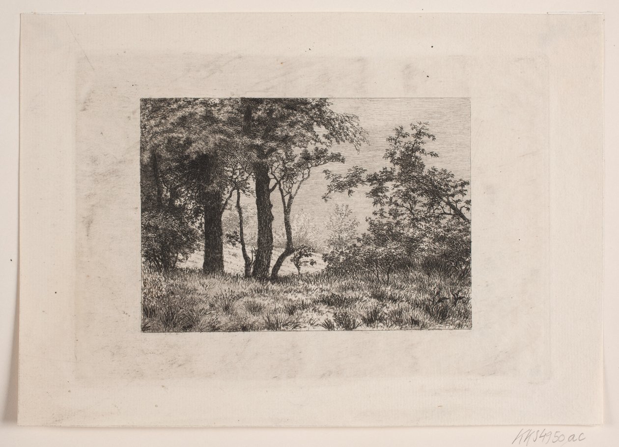 Ekar i kanten av en skog av Vilhelm Kyhn
