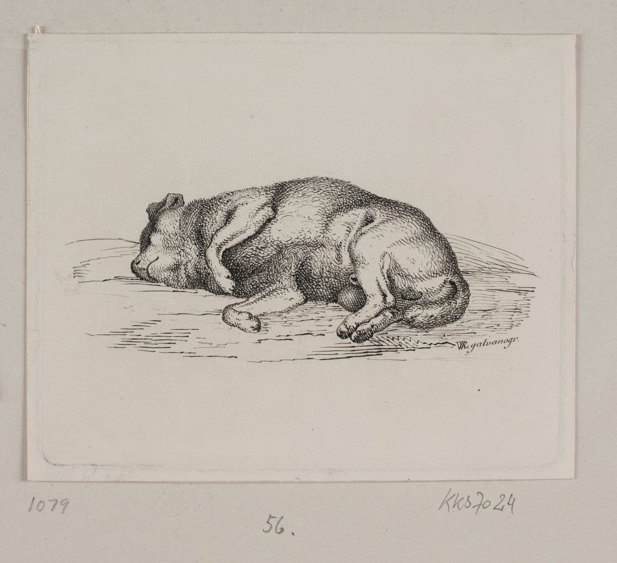 En liggande hund av Vilhelm Kyhn