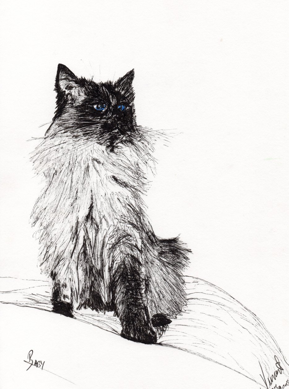 Baby, 2008, (bläck på papper) av Vincent Alexander Booth