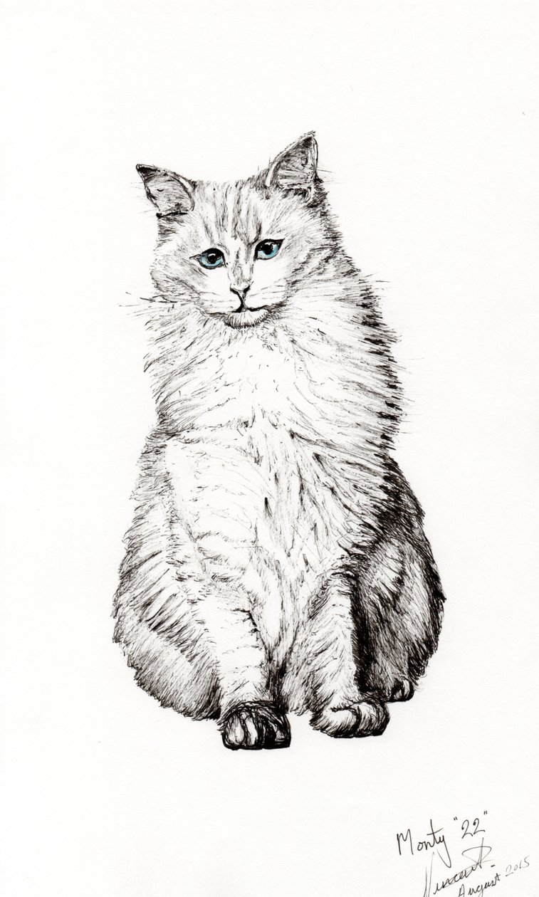 Pojke, 2015, (bläck på papper) av Vincent Alexander Booth