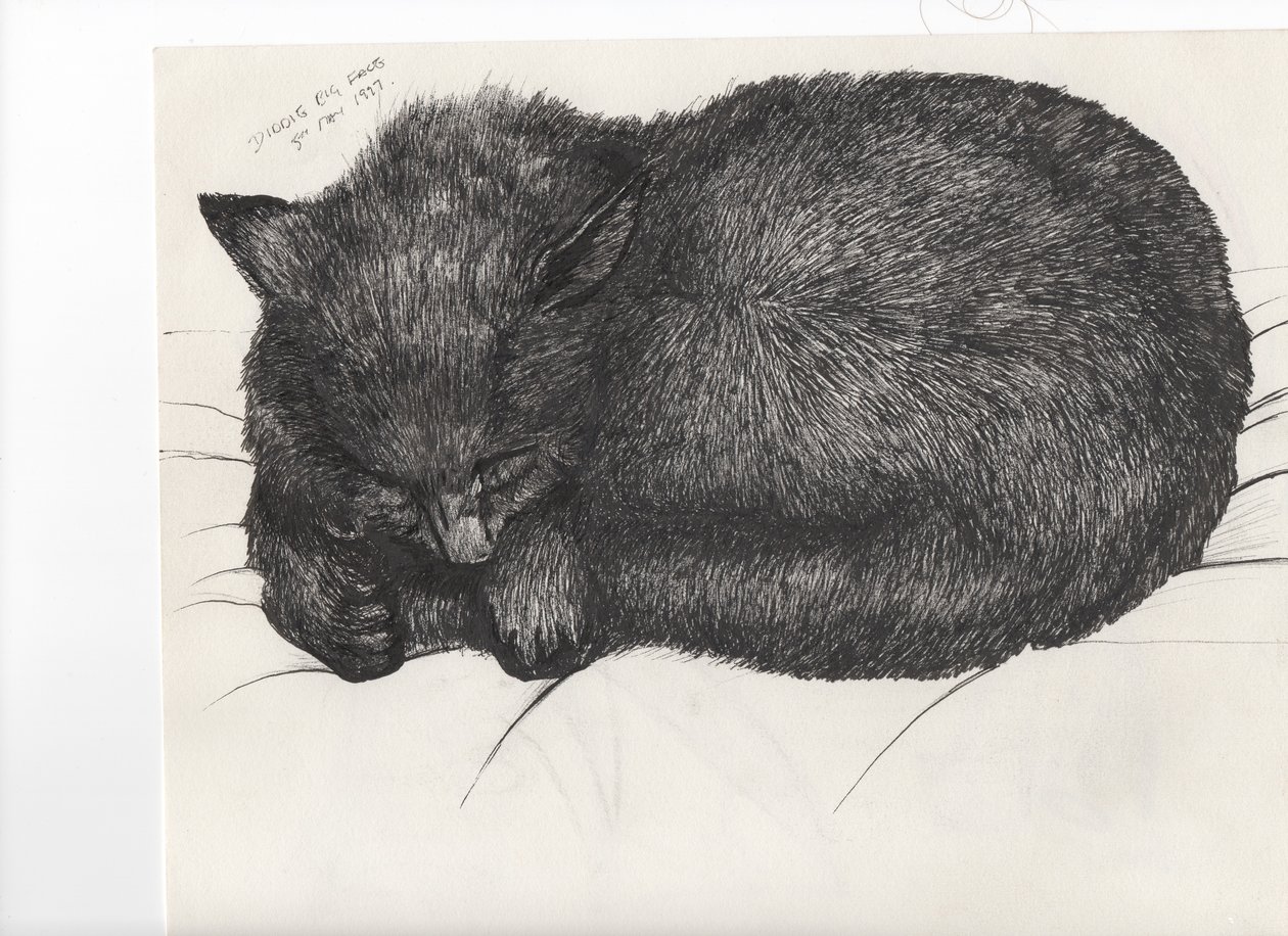 Diddy big face, 1997, (bläck på papper) av Vincent Alexander Booth