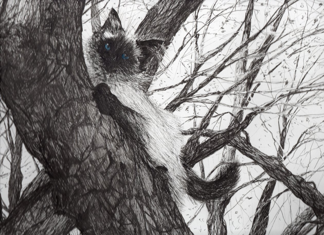 Up the apple tree, 2006, (bläck på papper) av Vincent Alexander Booth