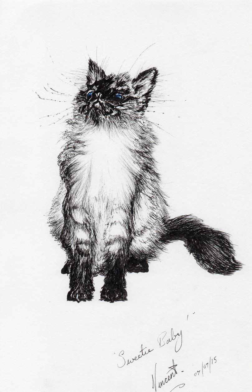 sweetie baby, 2015, (bläck på papper) av Vincent Alexander Booth