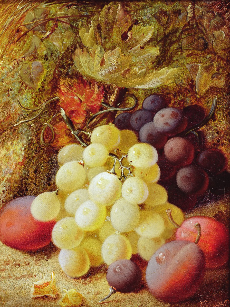 Vindruvor och plommon av Vincent Clare