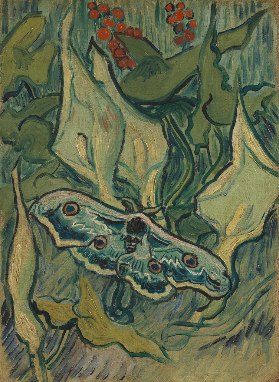 Giant Peacock Moth av Vincent van Gogh