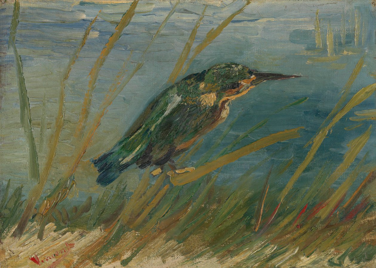 Kingfisher by the Waterside av Vincent van Gogh