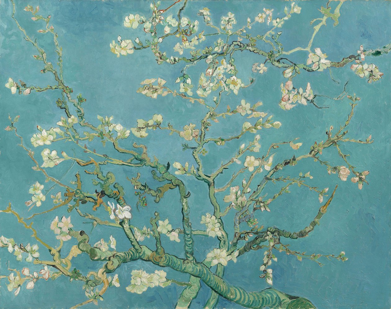 Mandelblomma av Vincent van Gogh