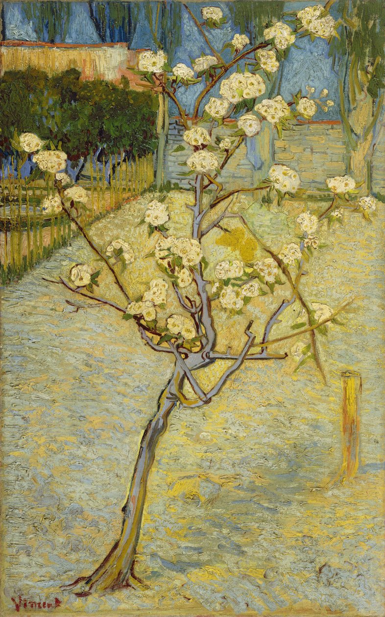 Blommande päronträd av Vincent van Gogh