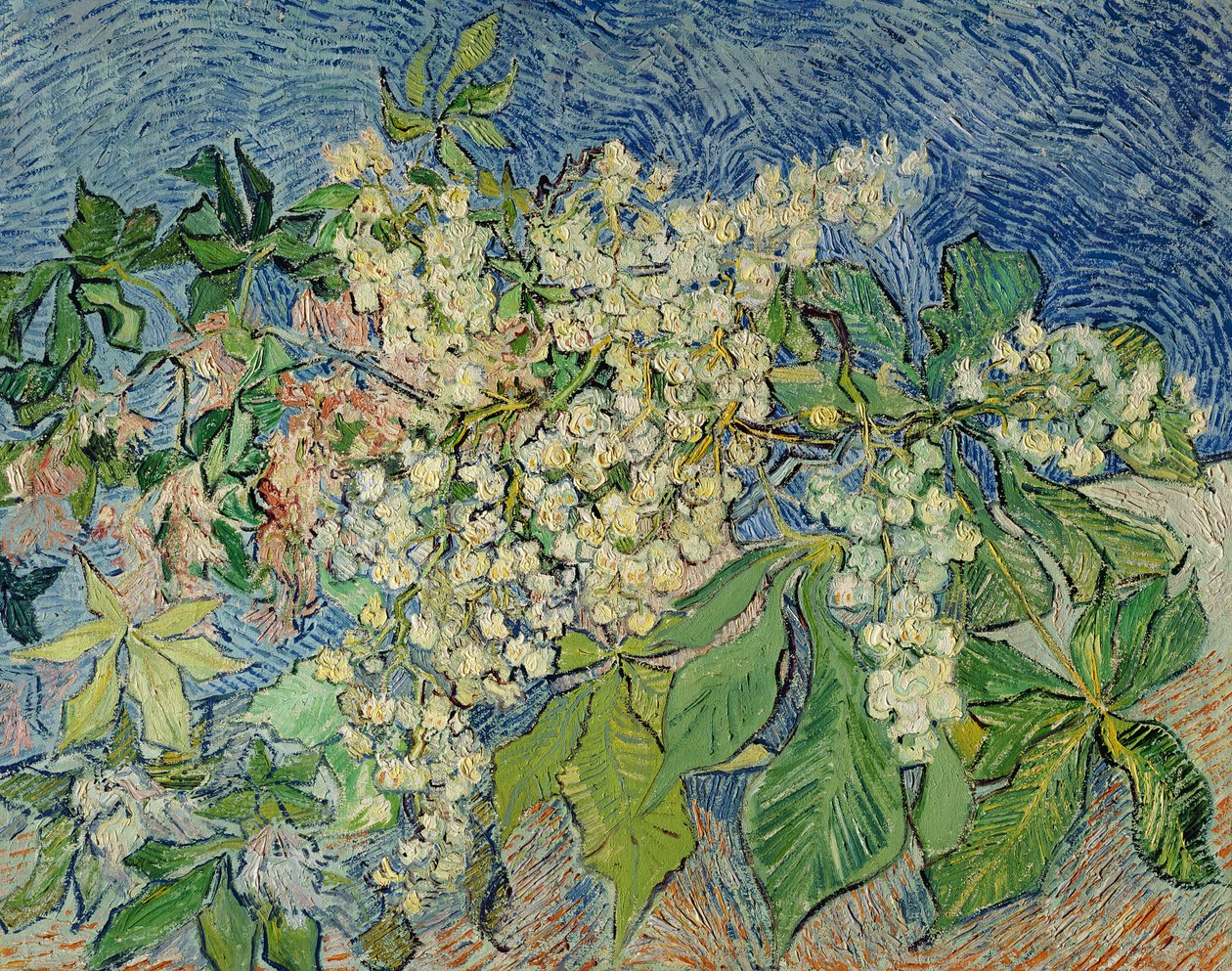 Blommande kastanjegrenar, 1890 av Vincent van Gogh