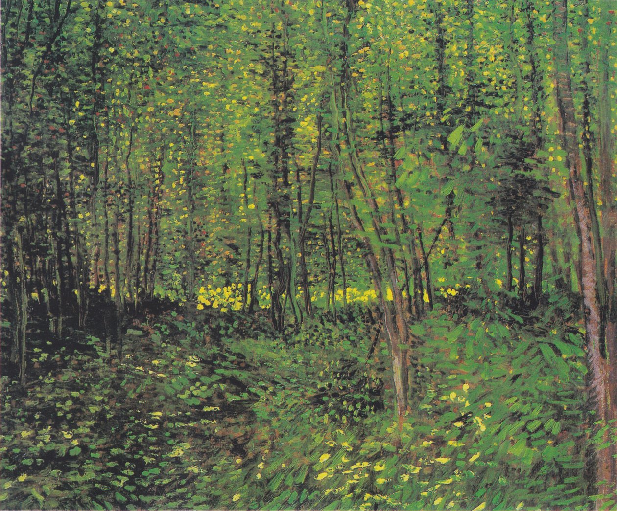 Träd och underväxt 2 av Vincent van Gogh