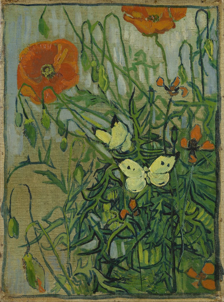 Fjärilar och vallmo av Vincent van Gogh