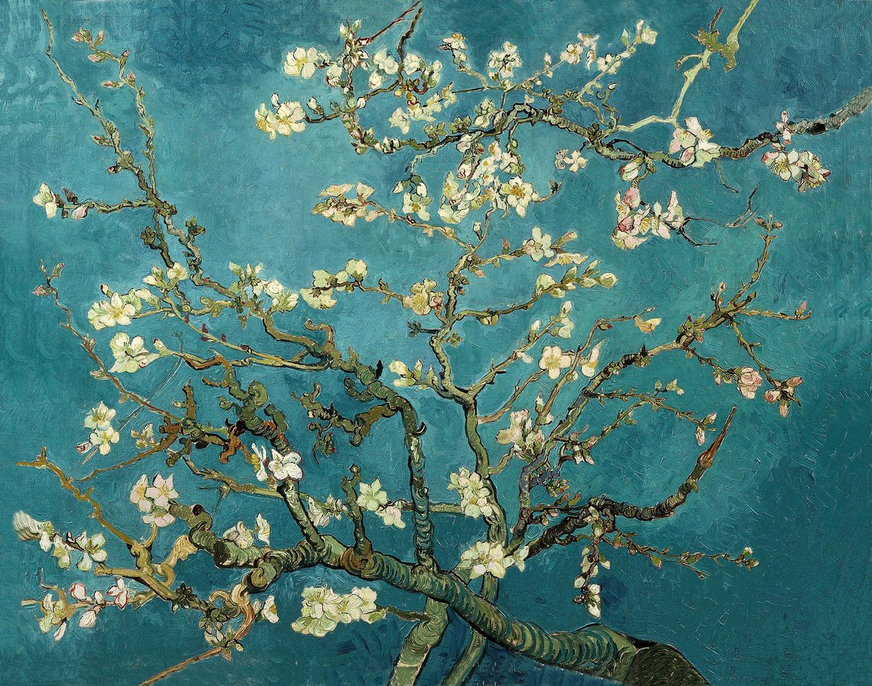 Mandelblomma av Vincent van Gogh
