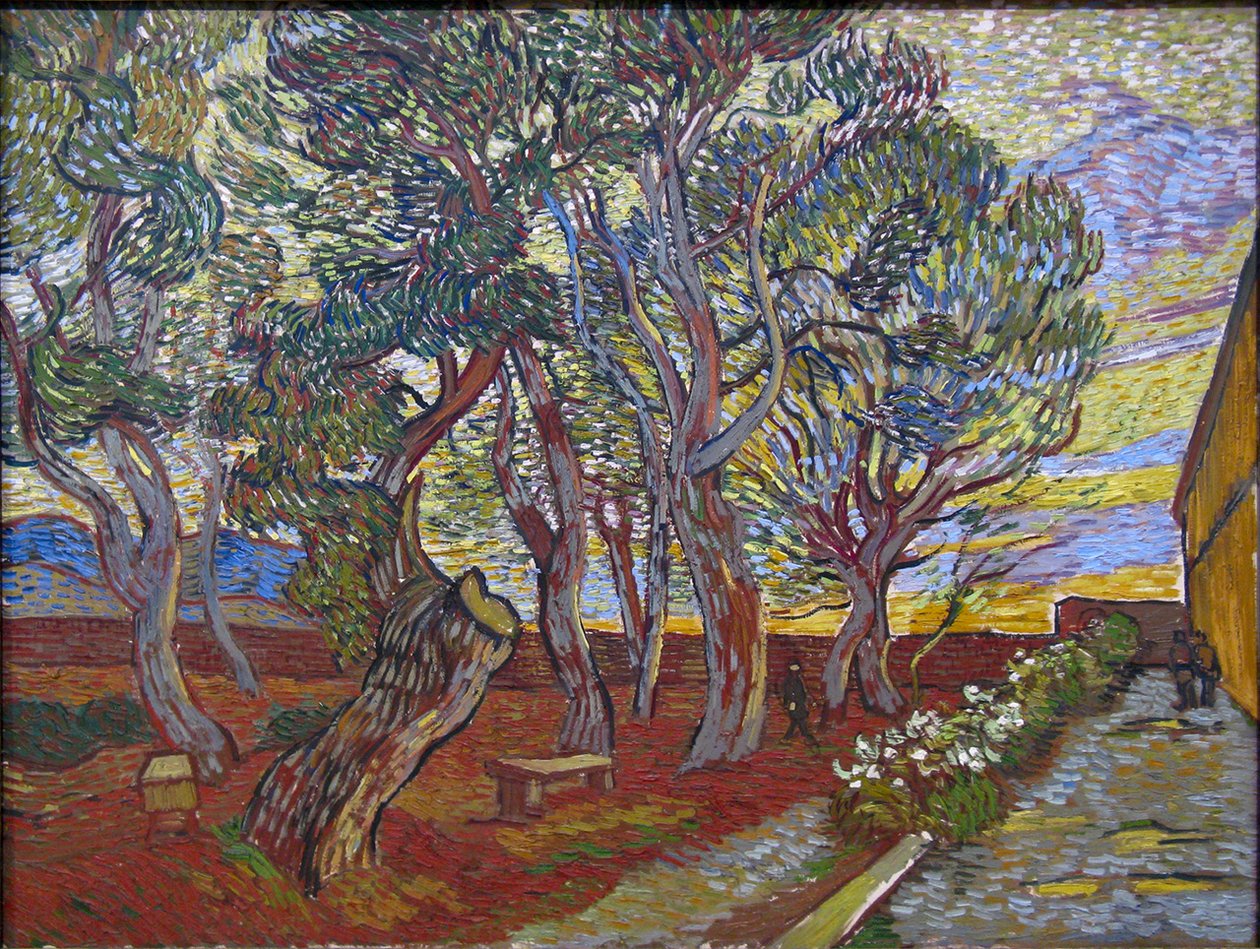 De tuin van de inrichting Saint Paul av Vincent van Gogh
