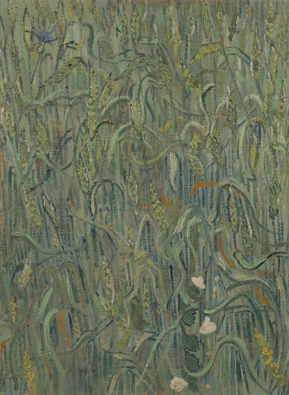 Ears of Wheat av Vincent van Gogh