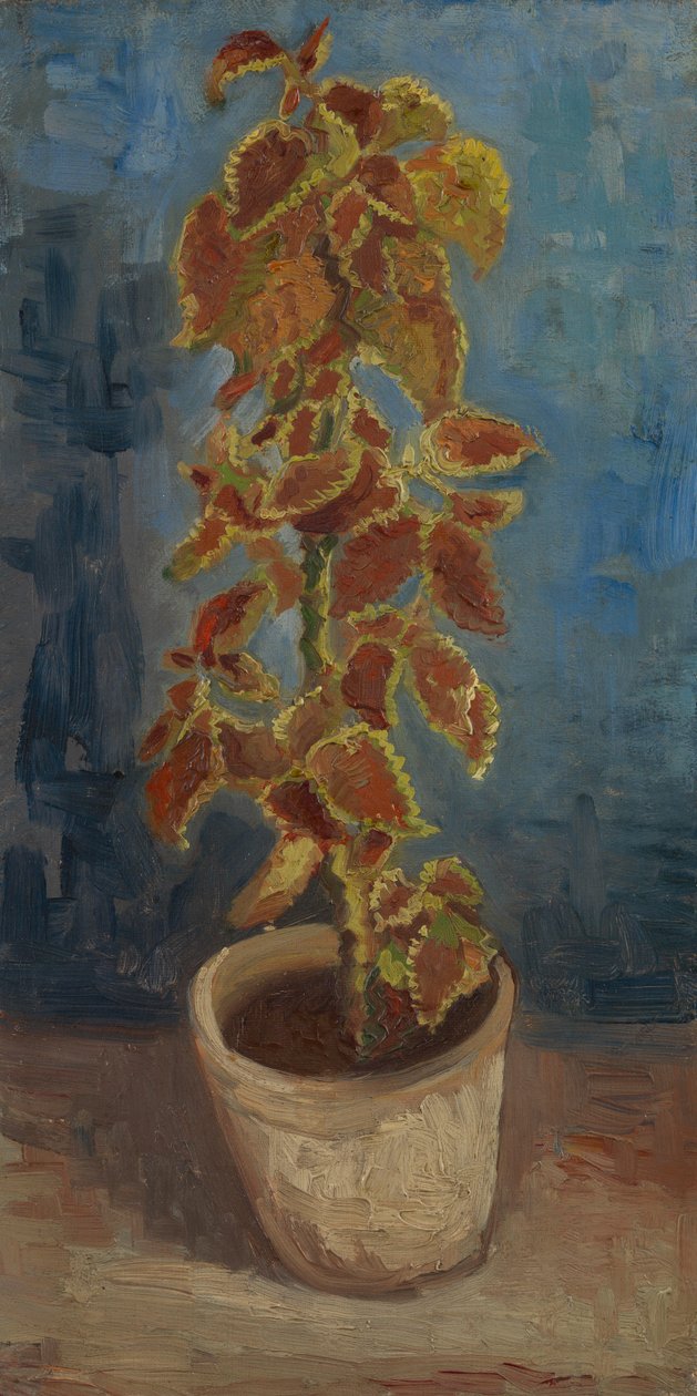 Flamma nässla i en blomkruka av Vincent van Gogh