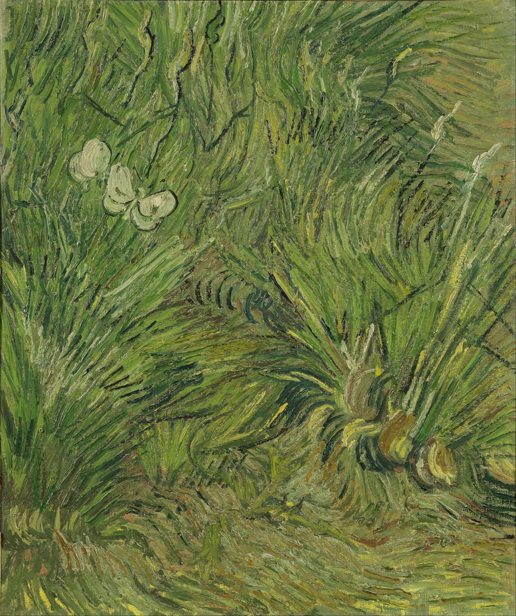 Trädgård med fjärilar av Vincent van Gogh