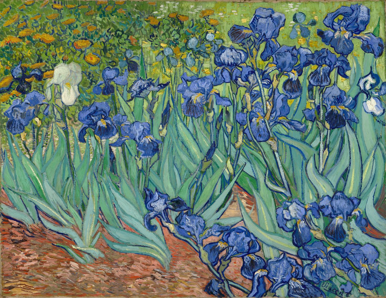 Iris av Vincent van Gogh