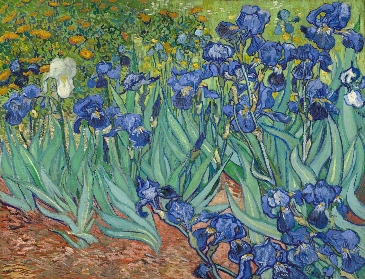 Irises av Vincent van Gogh