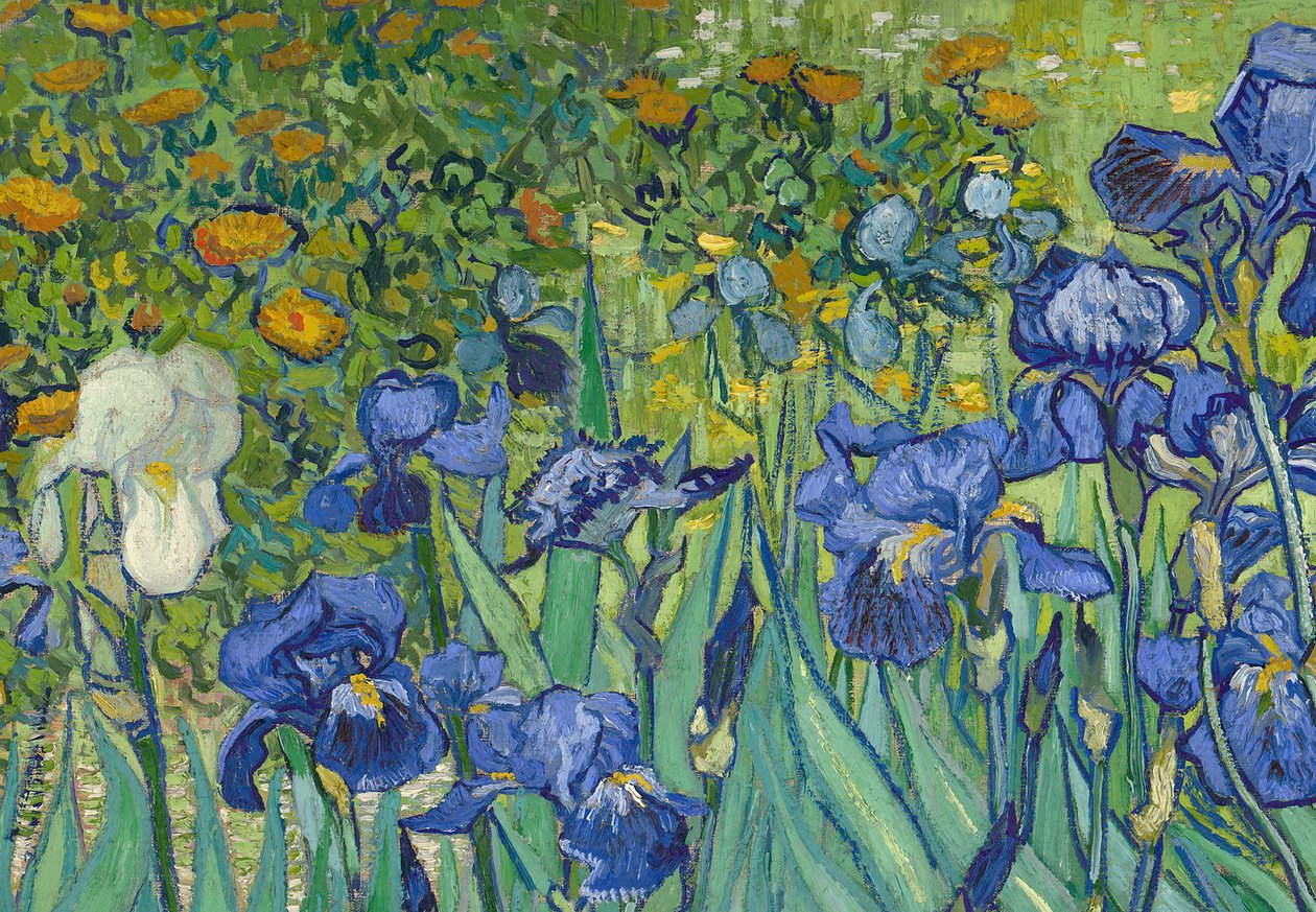 Irises, 1889 (detalj av 40070) av Vincent van Gogh