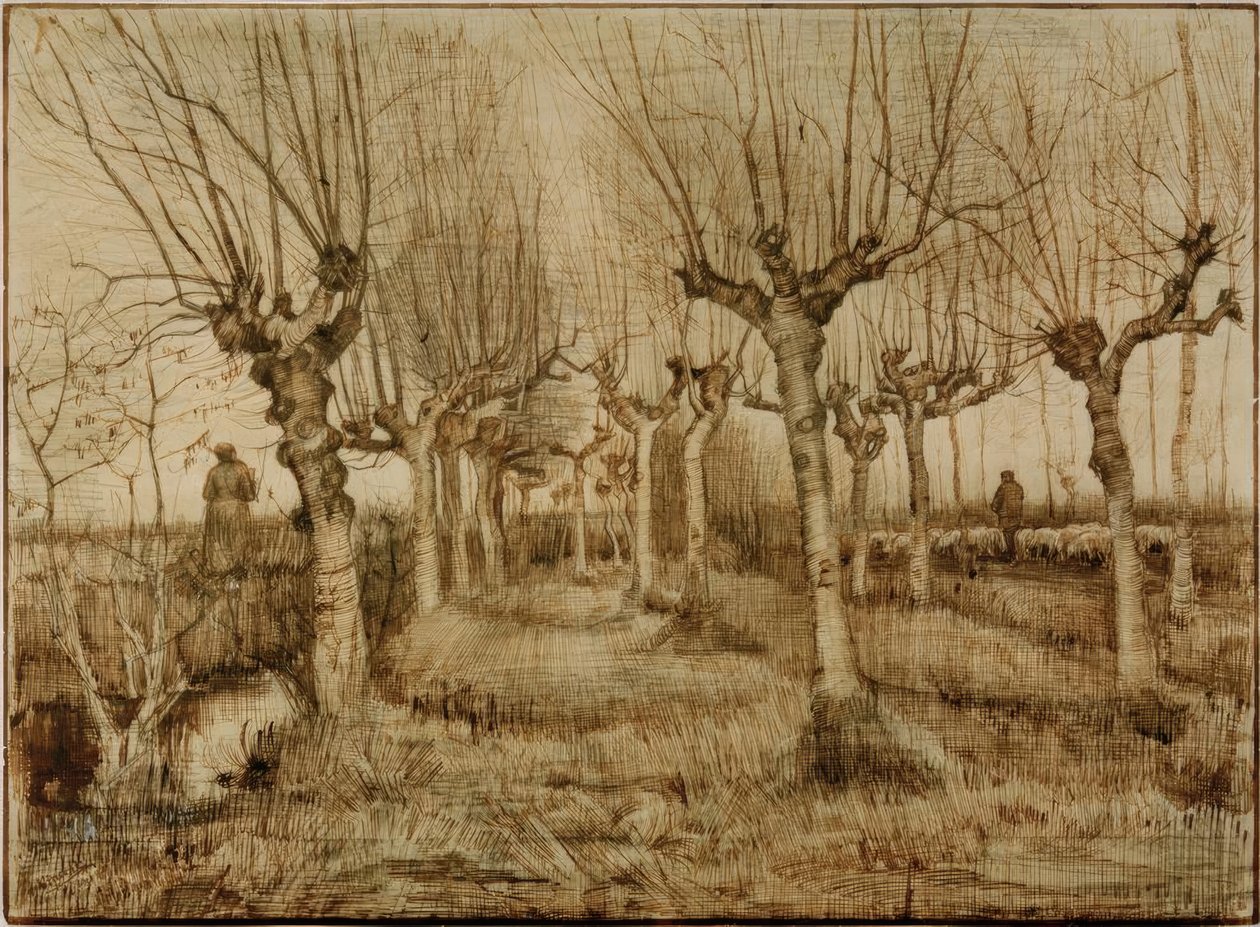Pollard pilar av Vincent van Gogh