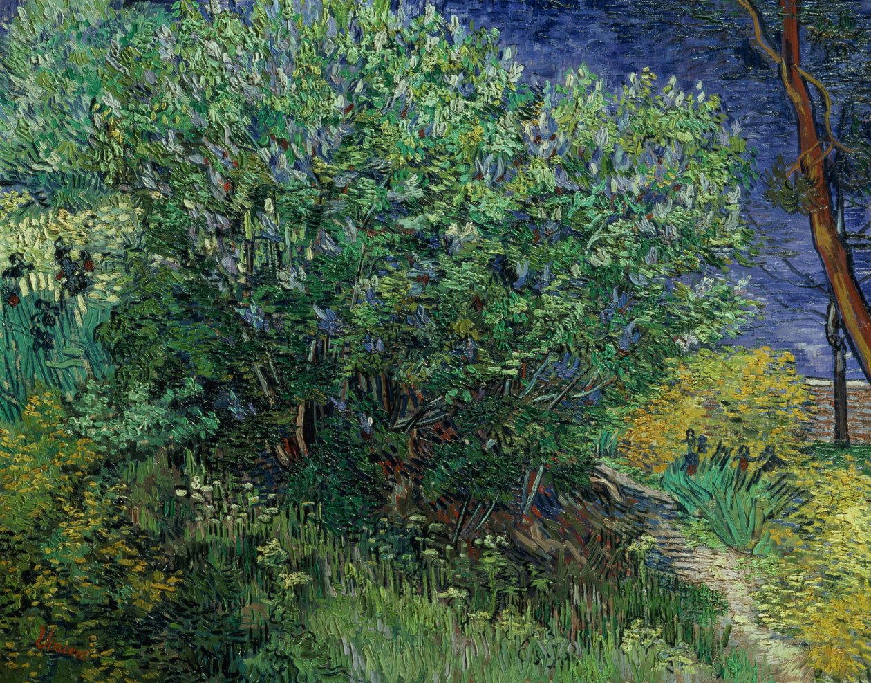 Lilac Bush, 1889 av Vincent van Gogh