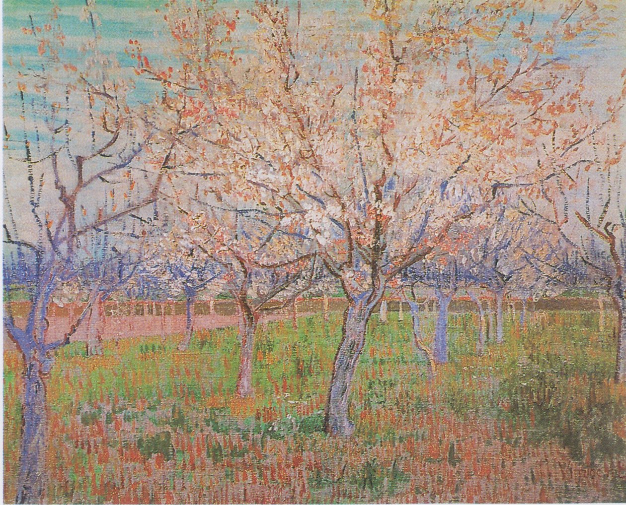 Trädgård med blommande aprikosträd av Vincent van Gogh