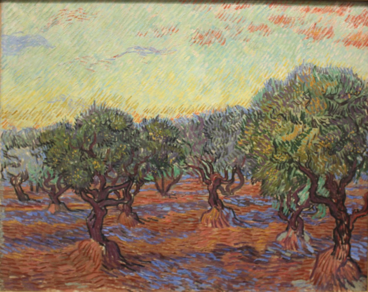 Olivlund av Vincent van Gogh
