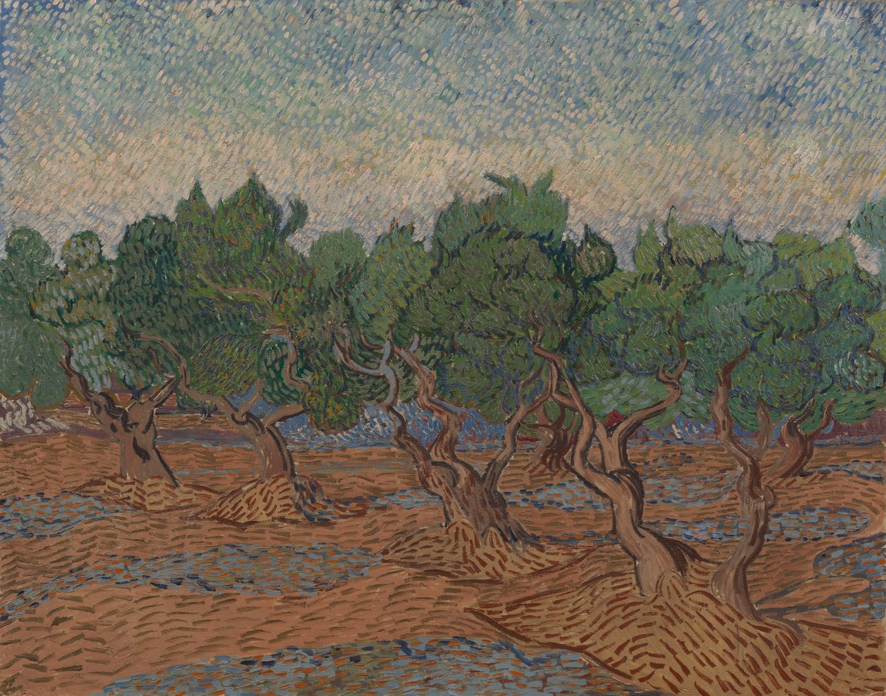 Olivlund av Vincent van Gogh