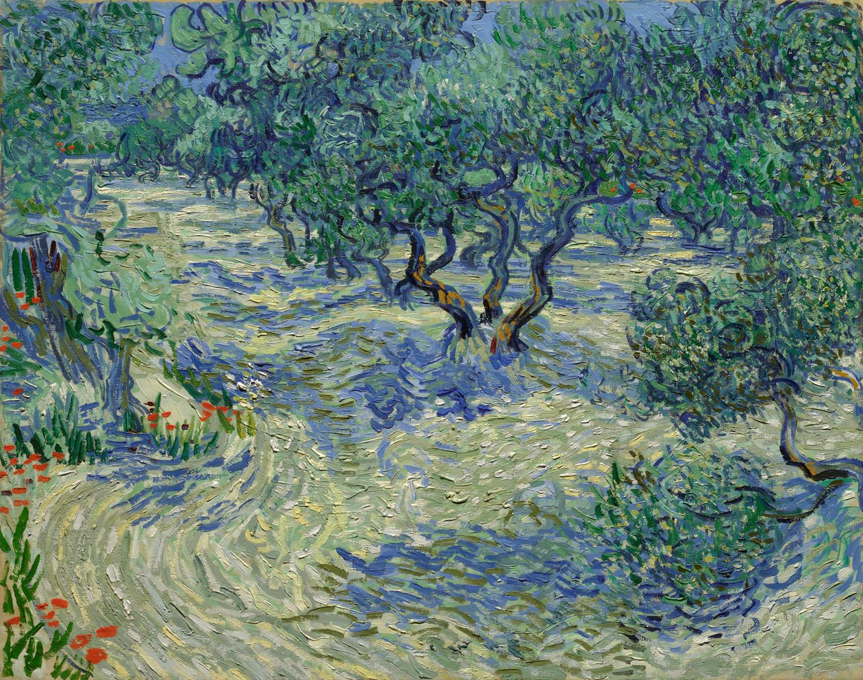 Olivodling av Vincent van Gogh