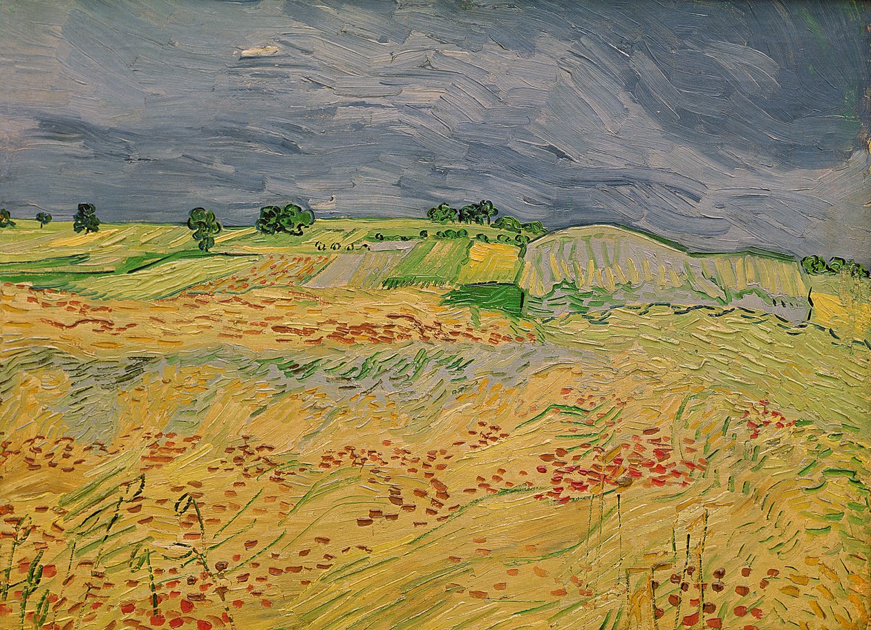 Slätten i Auvers, 1890 av Vincent van Gogh