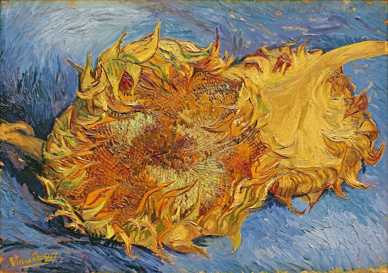 Två skurna solrosor av Vincent van Gogh