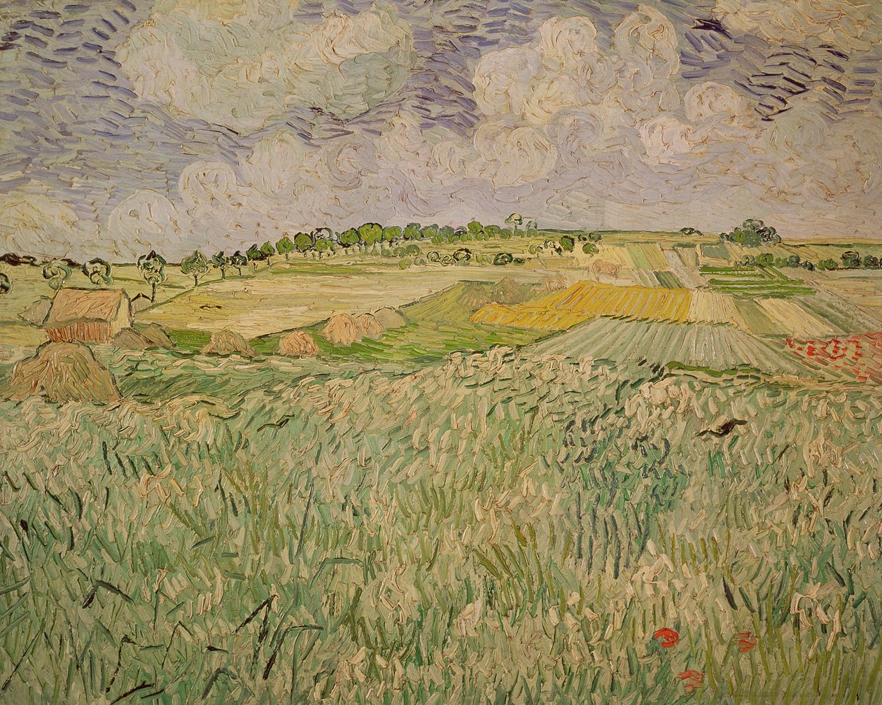Slätten i Auvers, 1890 av Vincent van Gogh