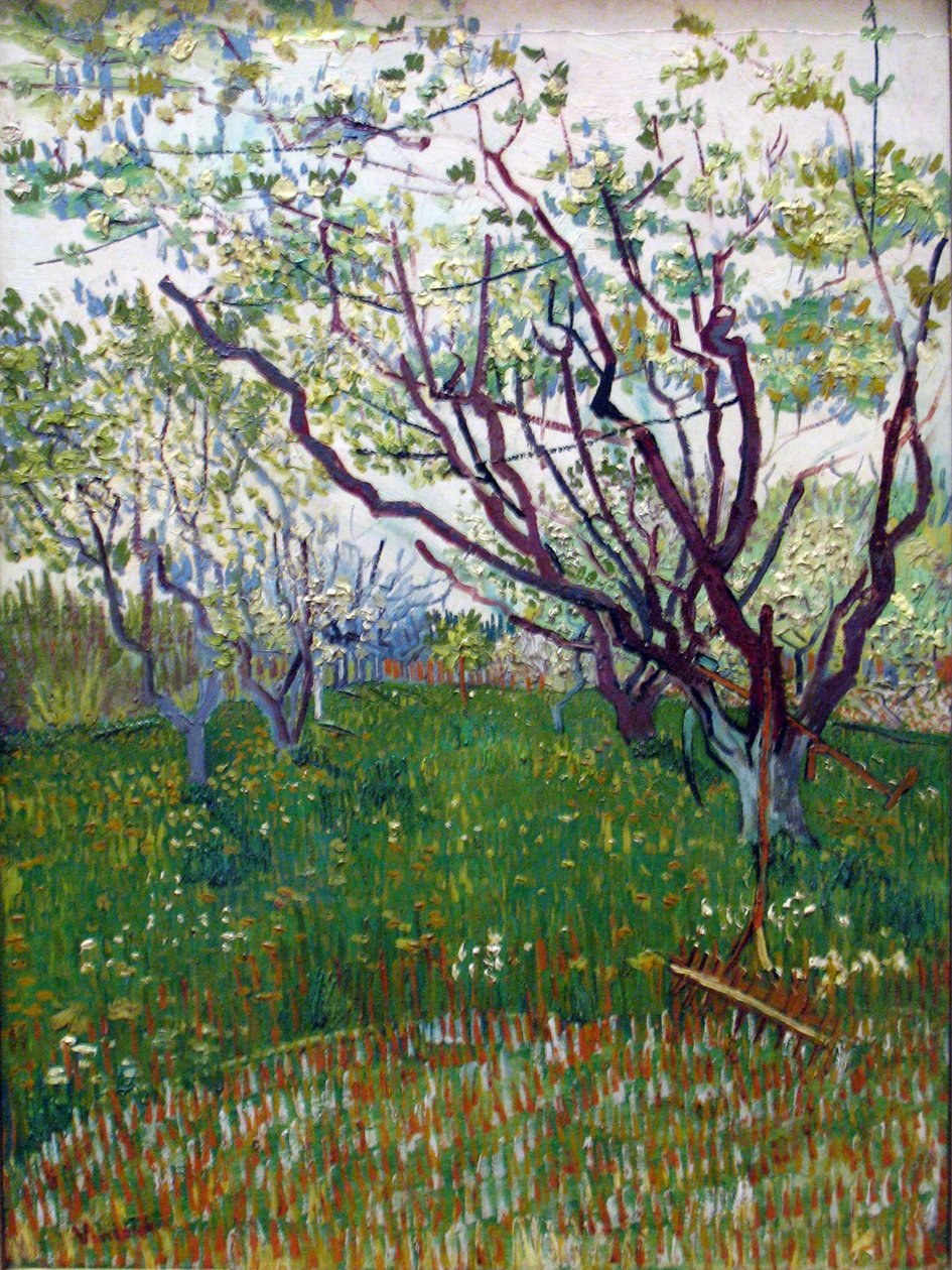 Den blommande fruktträdgården av Vincent van Gogh