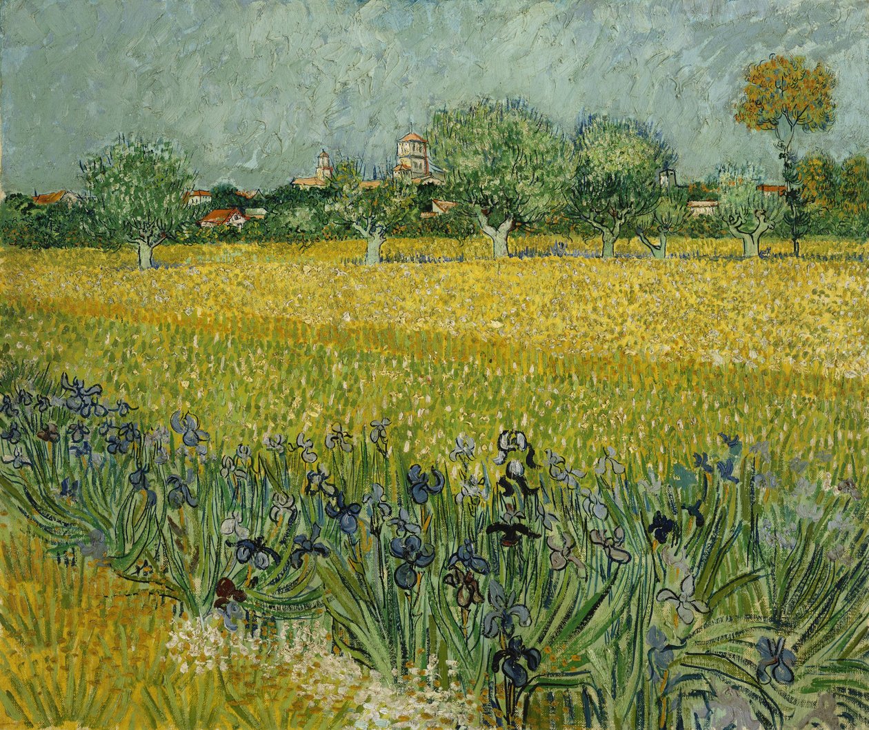 Fält av blommor nära Arles av Vincent van Gogh
