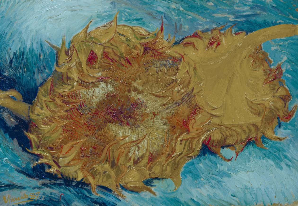Två klippta solrosor av Vincent van Gogh
