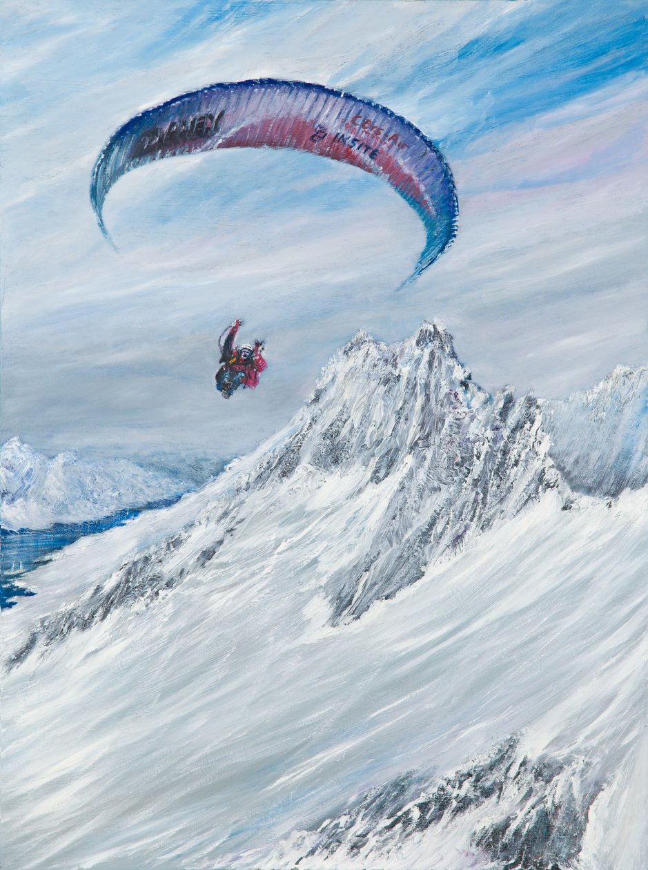 Antarctic Flier, 2015, av Vincent Alexander Booth