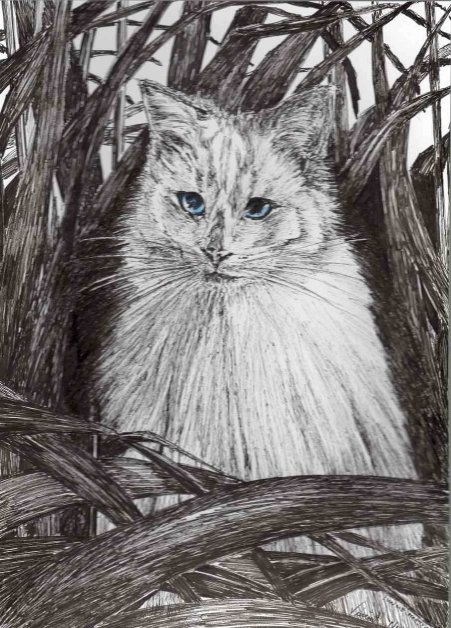 Jungle Monty, 2015, (bläck på papper) av Vincent Alexander Booth