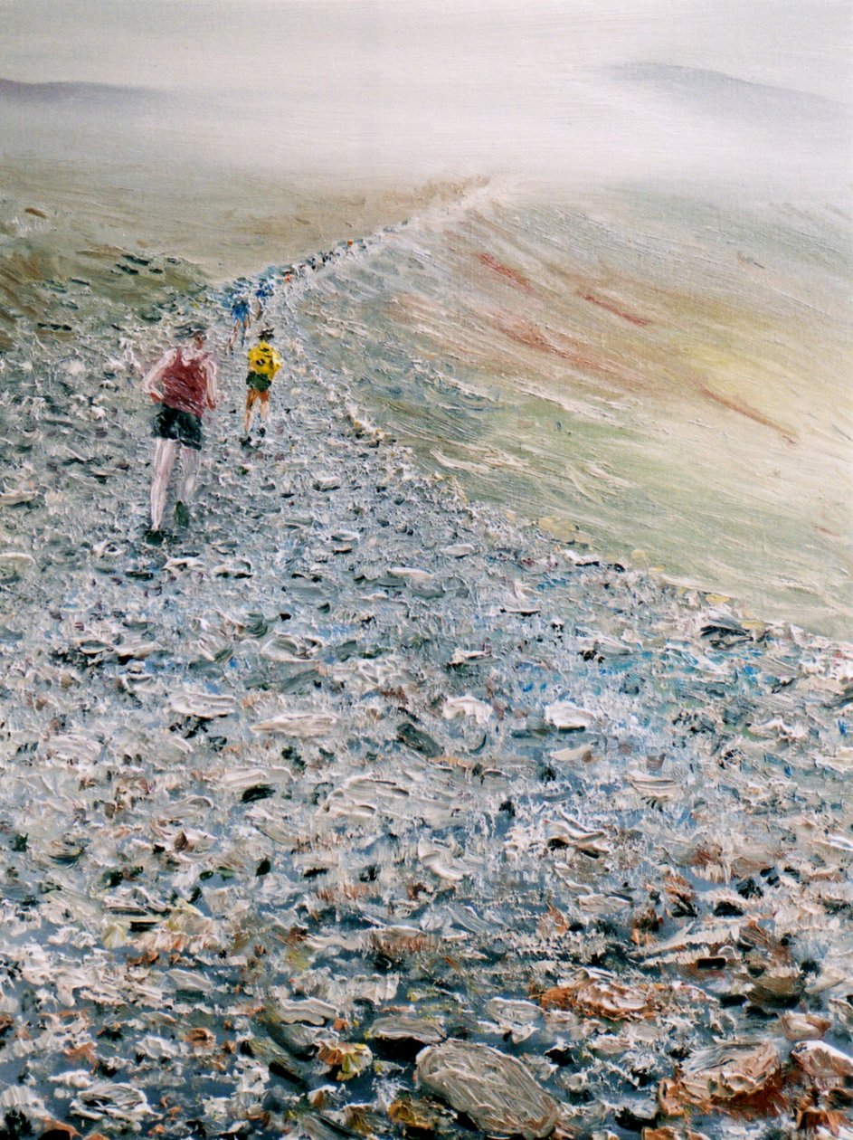 Spring upp Snowdon, 2014 av Vincent Alexander Booth