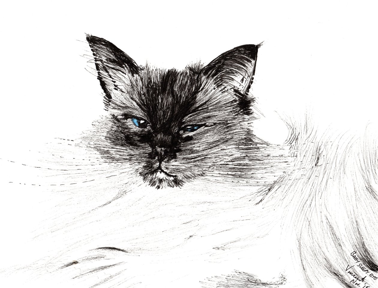 Sleepy eye, 2015, (bläck på papper) av Vincent Alexander Booth