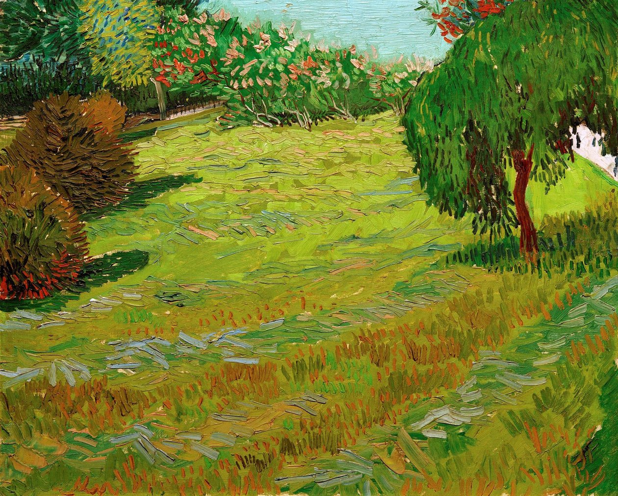 Trädgård med gråtpil, 1888. av Vincent van Gogh