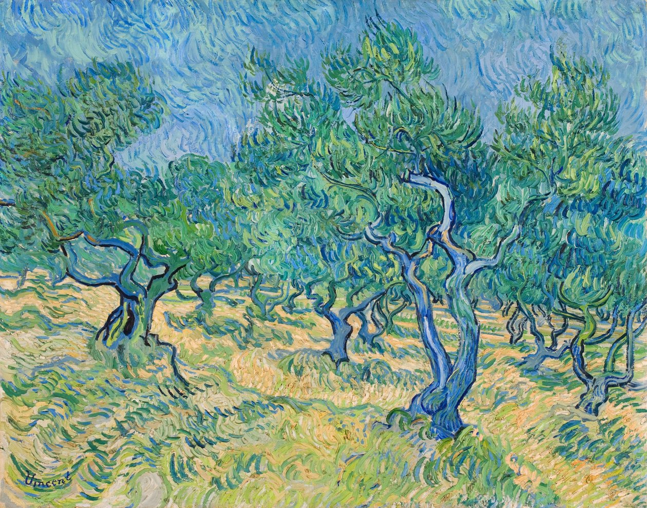 Olivlund, 1889. av Vincent van Gogh