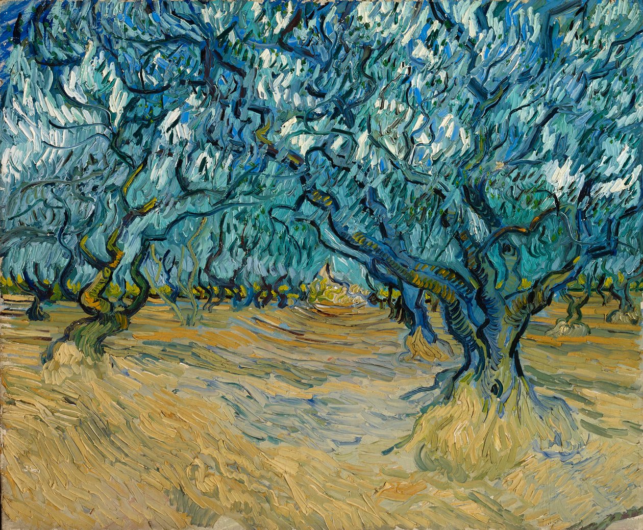 Olivlunden, Saint-Rémy, 1889. av Vincent van Gogh