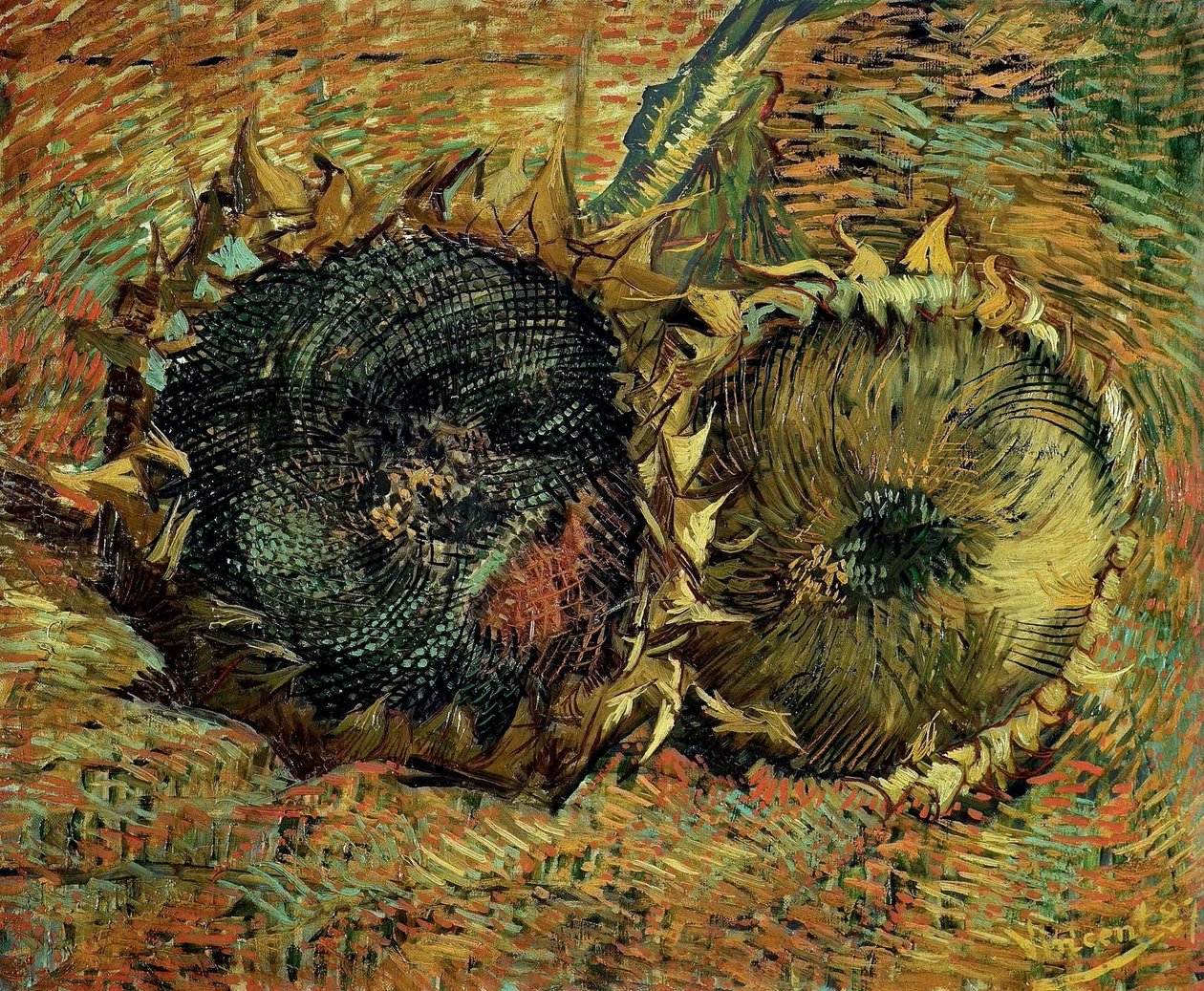 Två skurna solrosor, 1887. av Vincent van Gogh