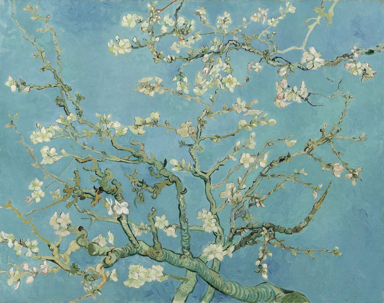 Mandelblom av Vincent van Gogh