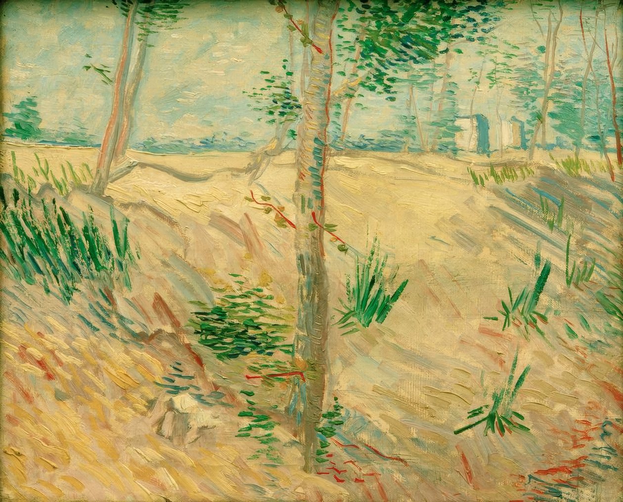 Trädstammar i solljuset av Vincent van Gogh