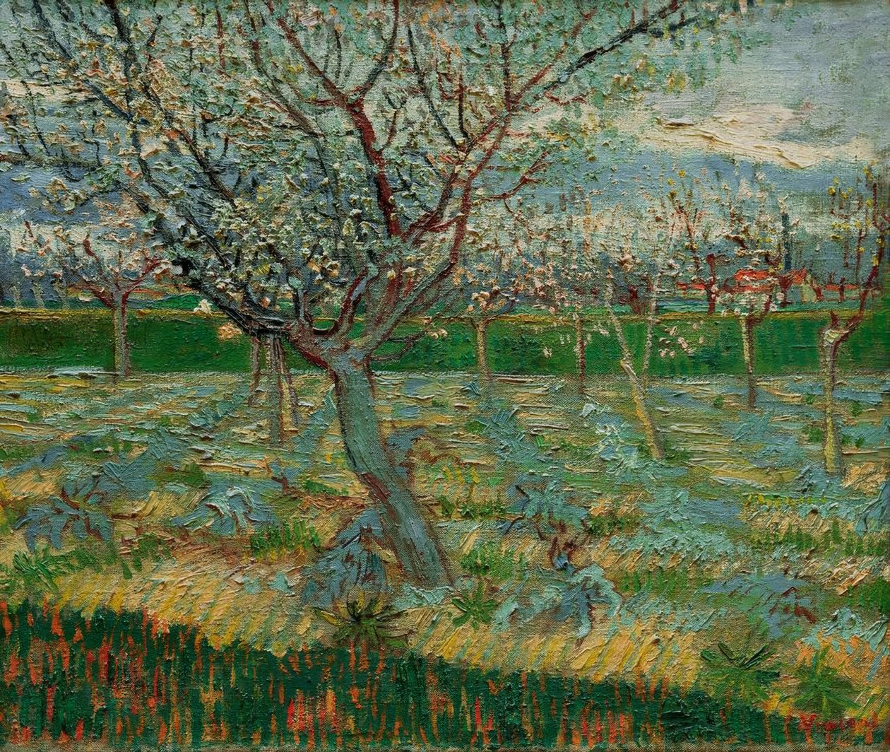 Blommande fruktträdgård med aprikosträd av Vincent van Gogh